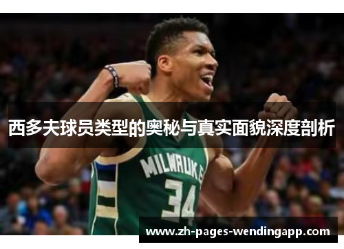 西多夫球员类型的奥秘与真实面貌深度剖析 西多夫球员类型的奥秘与真实面貌深度剖析