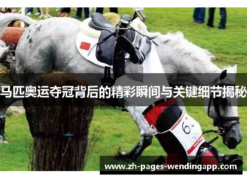 马匹奥运夺冠背后的精彩瞬间与关键细节揭秘