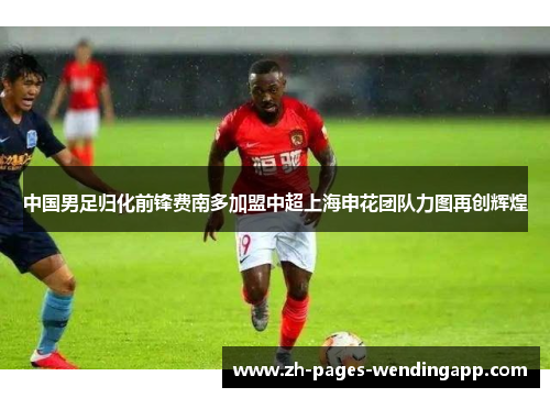 中国男足归化前锋费南多加盟中超上海申花团队力图再创辉煌 中国男足归化前锋费南多加盟中超上海申花团队力图再创辉煌